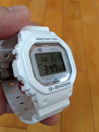GSHOCK.JPG