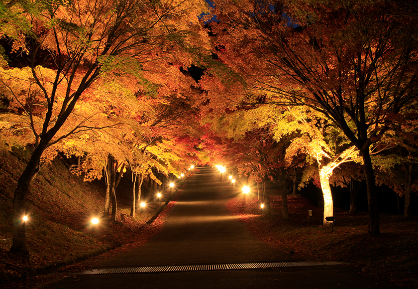 箕輪町 紅葉