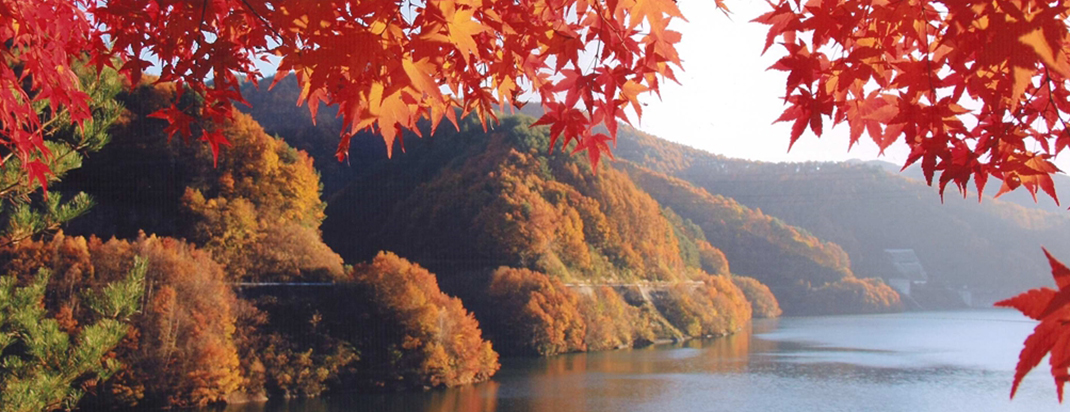 長野県箕輪町 もみじ湖